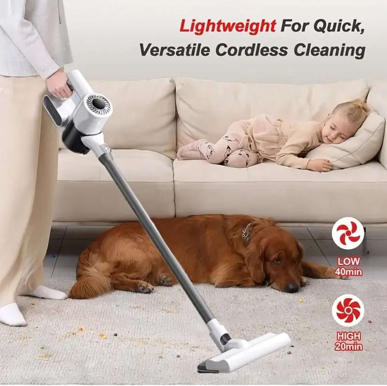 مكنسة كهربائية شحن 3 درجات سرعة جديدة ما مستخدمة خلي سعر وبالعافية


**إذا كنت صاحب هذا الإعلان وتريد حذفه لأي سبب، رجاءا أرسل رسالة إلى الدعم الفني**