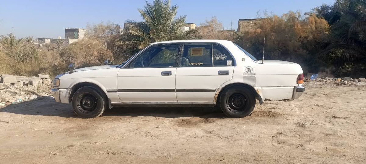 السلام عليكم ارنب قصيف جاهزه من الطول للطول ماكينه وكير كهربائيات رقم بغداد انجليزيو السعر 50  مكاني ناصريه سوق الشيوخ ***********
