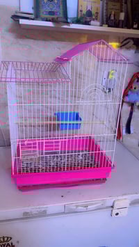 قفص • جديد • بغداد