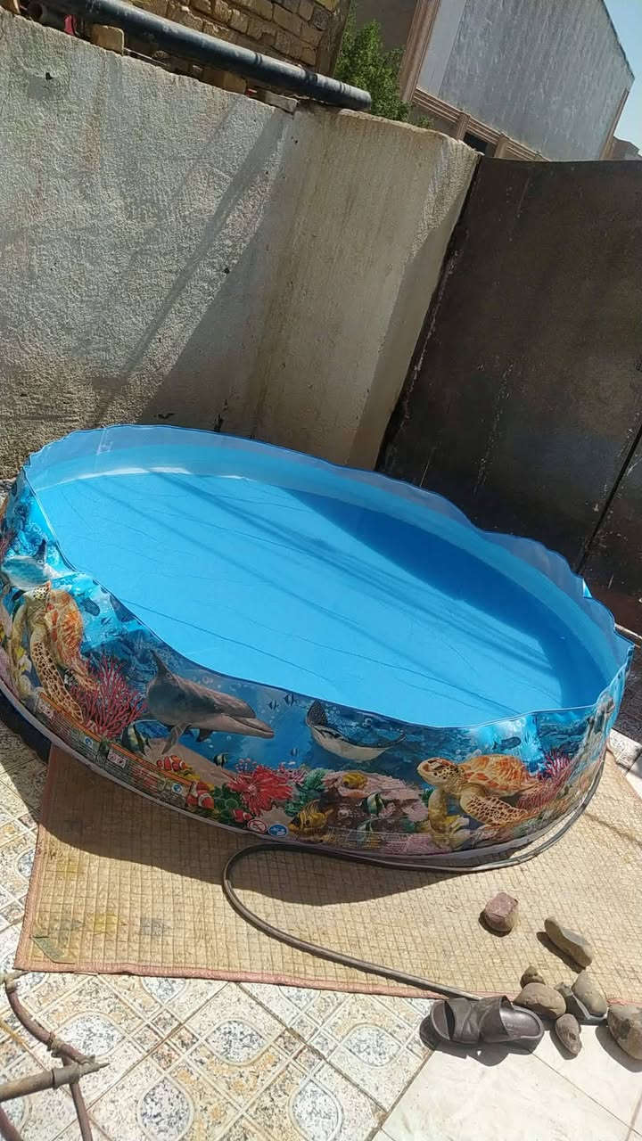 مسبح أكبر حجم للبيع حله


**إذا كنت صاحب هذا الإعلان وتريد حذفه لأي سبب، رجاءا أرسل رسالة إلى الدعم الفني**