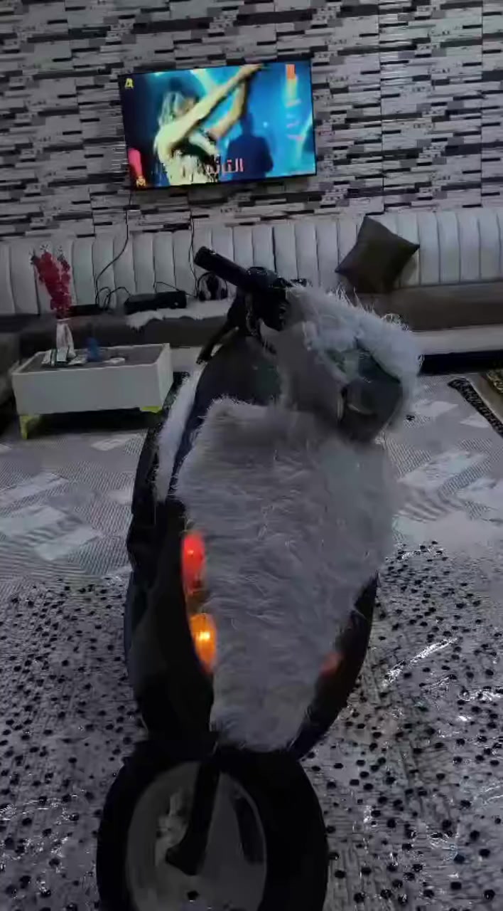 السلام عليكم شباب ماكس عدله للبيع كهرباء كامل شغال كفرات اسود بوشه 55


**إذا كنت صاحب هذا الإعلان وتريد حذفه لأي سبب، رجاءا أرسل رسالة إلى الدعم الفني**