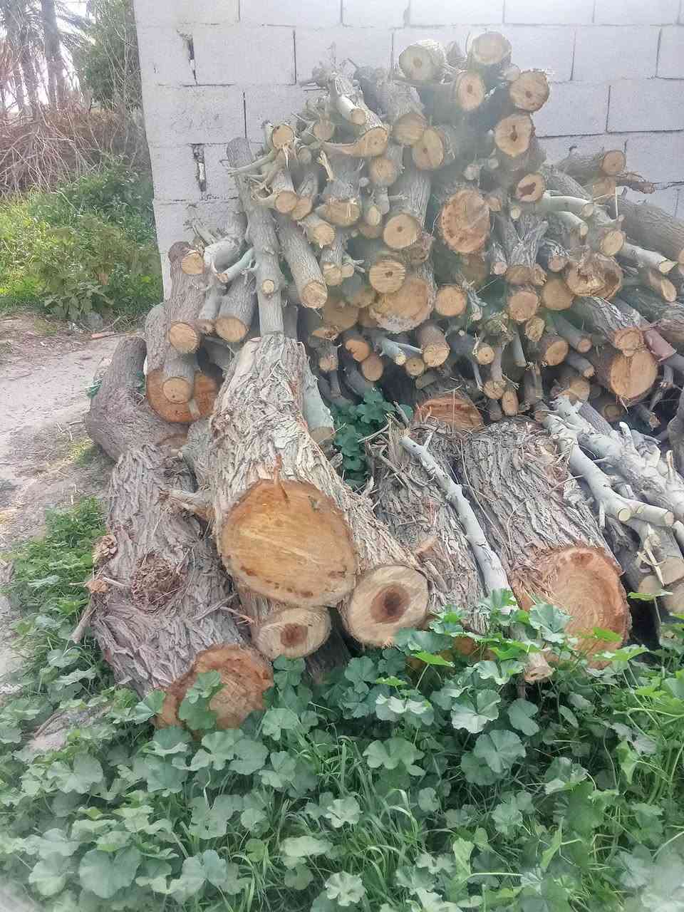 للبيع حطب نبك وكابرس وصفصاف
***********
