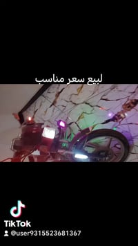 نضافه • فول كهربايات • أوراق