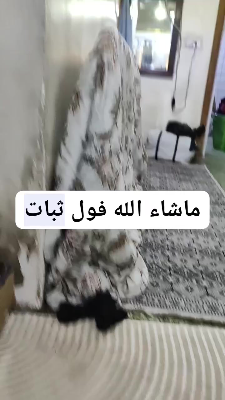 K102 Max
كي ماكس السعر 75 تم وطب اعتمد وبلعافية 
محركات برشلز رادار فول ثبات وسرعة استجابة


**إذا كنت صاحب هذا الإعلان وتريد حذفه لأي سبب، رجاءا أرسل رسالة إلى الدعم الفني**