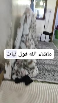 كي 102 ماكس • محركات برشلز • رادار وسرعة استجابة