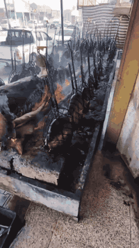 سمك حي • شوي • توصيل