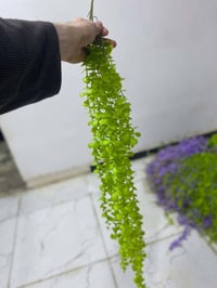 ورود • للبيع