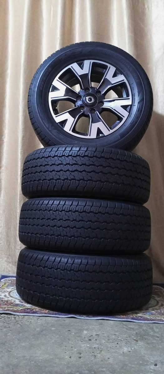 تخم ويل كب تاير جديد كريت ويل باور
مكاني بغداد الشعله
***********
***********
