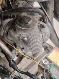 ماكس عدله • شغاله • القرنه