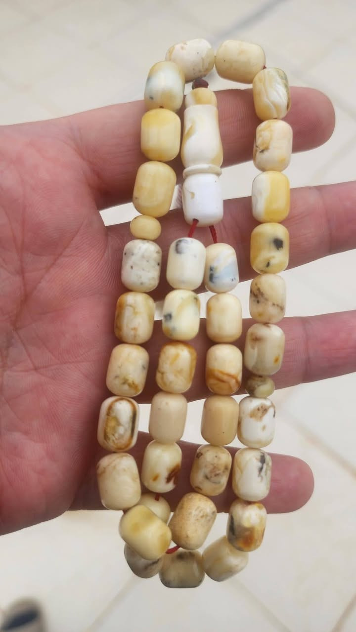 سبحه من الكهرب الطبيعي جبس طباشيري طخات شوائب 24 غرام جمال ودلال بالعافية 35 حبة
سعر ١٥٠ الف


**إذا كنت صاحب هذا الإعلان وتريد حذفه لأي سبب، رجاءا أرسل رسالة إلى الدعم الفني**