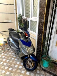 سكنس فحل • كابريتر كوري • نضافه٩٠٪