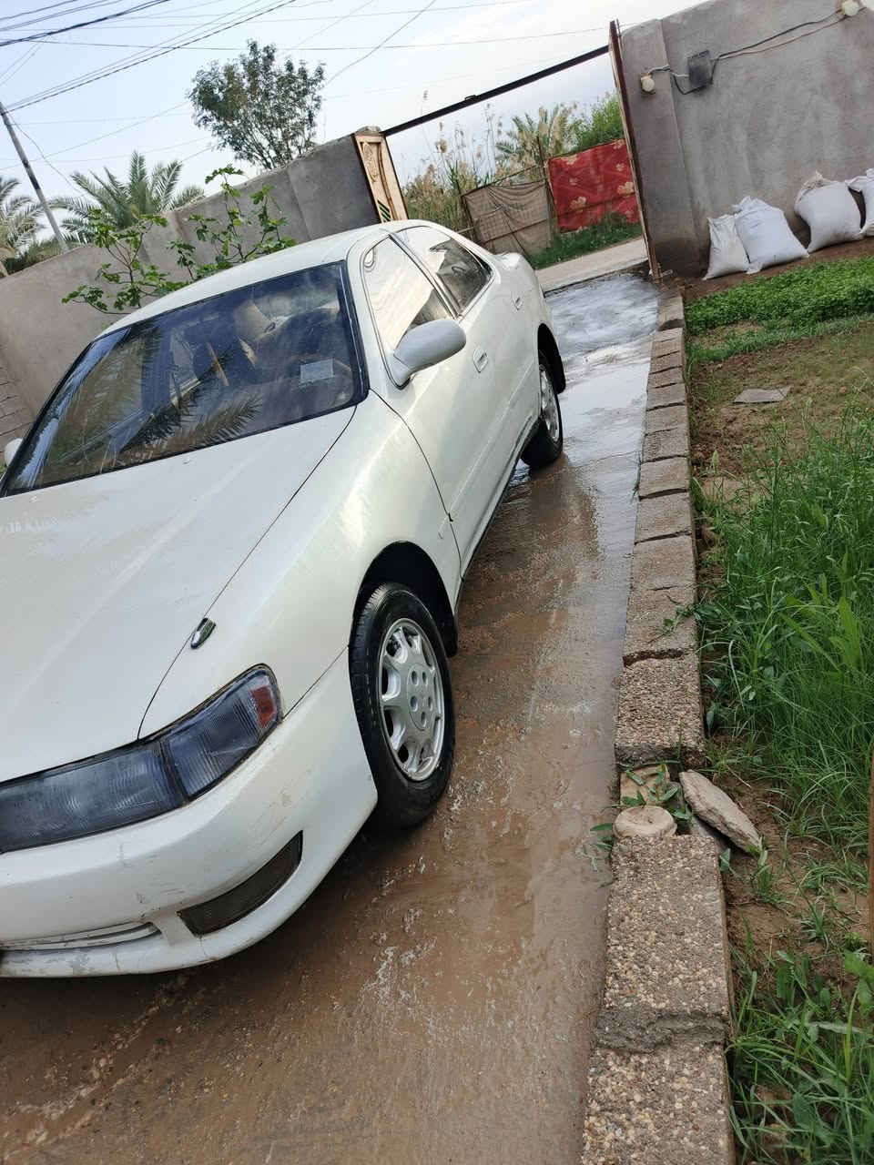 سلام عليكم كرستاا نفخ مديل 93 رقم بصره مشروع وطني مداوره ثاني يوم مكفواله من العيب الشرعي ومن نقل جثه تخم تاير حداديه توني مسويه تبريد شغال سياره جاهزه من كلشي مكنيه ونجي سياره خير من الله ذي قار \ الشطره السعر/60 وبيه مجال قليل للاستفسار ع رقم ماامتواجد ع نت الرقم ***********
