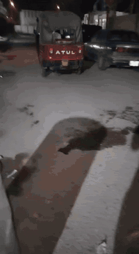 تحوير تكتك محرك ستوته ***********-/×
