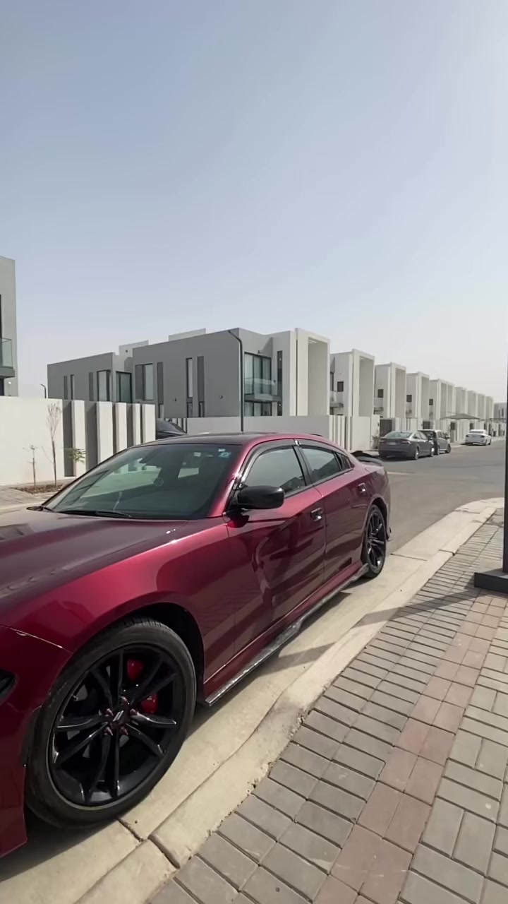 ديكورات بدور ***********
