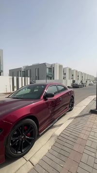 ديكورات بدور 07714737677