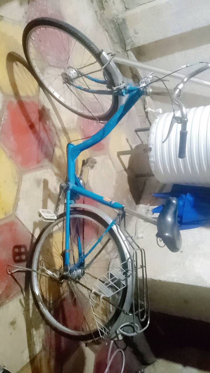 سلام عليكم بايسكل بناتي حجم 26
مابي نقص تخم تاير جديد
سعر 70 بي مجال حك الجية
للتواصل ***********
مكاني بغداد الحسينيه
