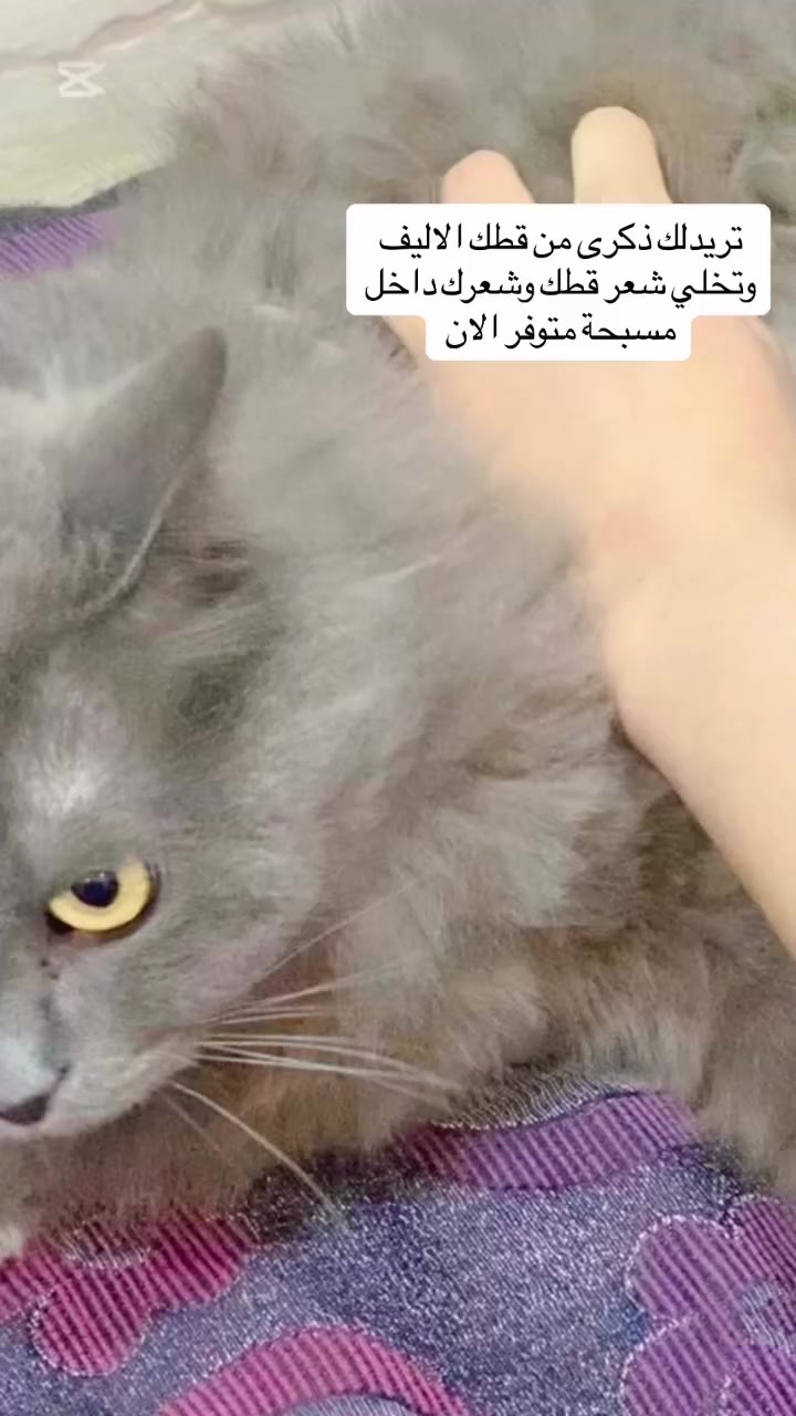 تواصل خاص #موصل #سبحه #مشروع_منزلي #fyp #اكسبلور_explore


**إذا كنت صاحب هذا الإعلان وتريد حذفه لأي سبب، رجاءا أرسل رسالة إلى الدعم الفني**