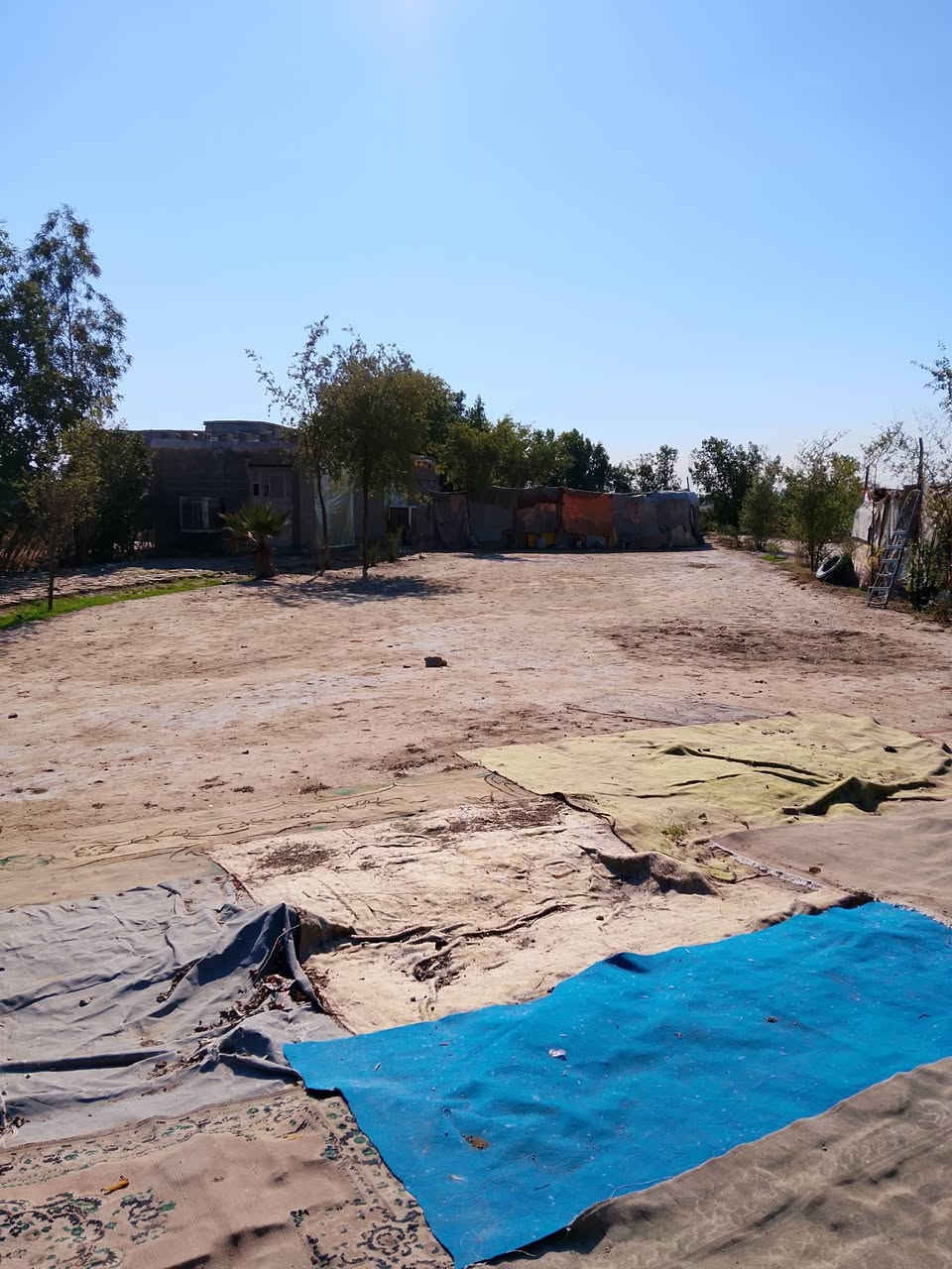 للهم صل على محمد وال محمد
دونم مع دارين للبيع    متوفرة كافة الخدمات ماء كهرباء   السقف سندويچ  والتبليط يبعد 200 متر

البيع واقع حال مكاتبه فقط 

السعر      38   مليون.   وبيه مجال 

العنوان المعامل الباوية قرية عبد العوده 

وتكدر تجي من طريق الحميديه الجديد 

ومن شارع العلوية رسل 

للأستفسار. ***********

ومتواجد واتساب
