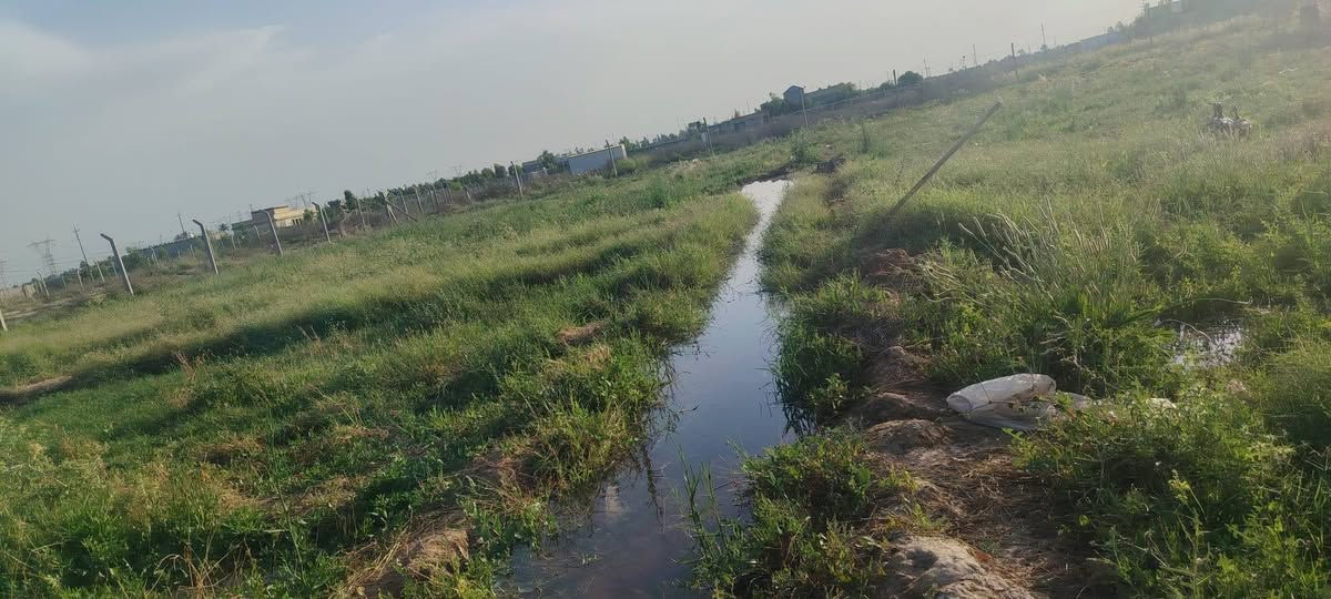 السلام عليكم الأرض زراعية المساحة دونم ونص المكان خلف الجسر الفرنسي كهرباء ماء شارع راح يتبلط منطقة جديدة سعرر خاص.. تواصل واتساب ***********
