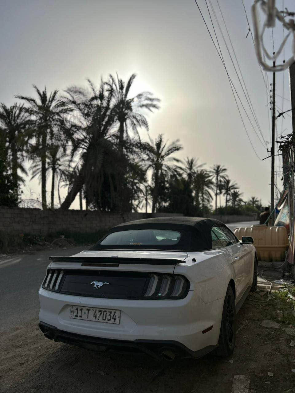 موستنك 2020 بريميوم للبيع مصبوغ حزام مكاني بغداد حي الجامعه بغداد, العراق


**إذا كنت صاحب هذا الإعلان وتريد حذفه لأي سبب، رجاءا أرسل رسالة إلى الدعم الفني**
