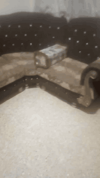 ديوان خشب عراقي 7 متر السعر 100للاستفسار الاتصال عالرقم ***********
