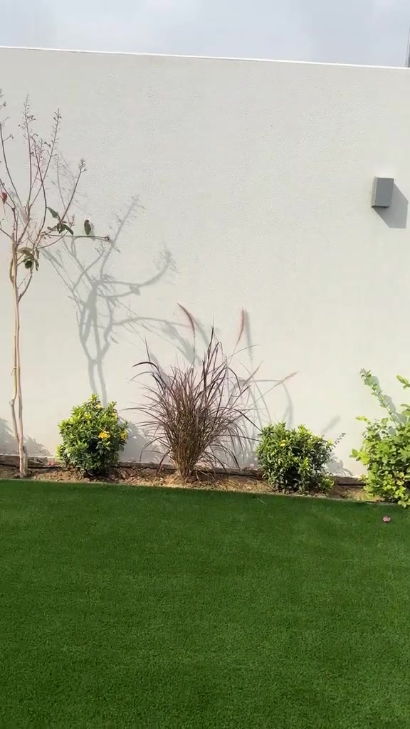 حديقه بيت ((زراعه الثيل والنباتات بأنواعهاا))
الموقع :كربلاء المقدسه للتواصل :***********
