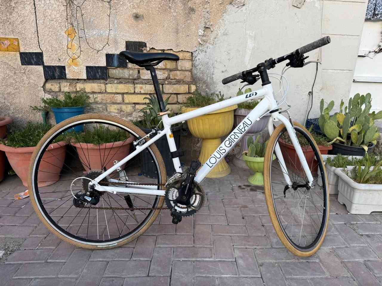 السلام عليكم
دراجة هوائية مارك لويس 🚴‍♀️🚴
بالة حاوية غير مستعمل بلعراق
حجم 28 -c700
المعدن المنيوم نظافة 95‎%‎
المكينة 8/3 ستيل
المجمع شيمانو
السعر 225
عنوان المحل بغداد الحرية الدور

للاستفسار الاتصال ***********
اهلا وسهلا بكم 🌸
