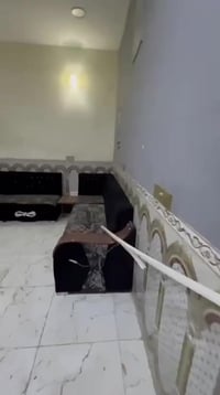 تخم • ٩ قطع • الودائه