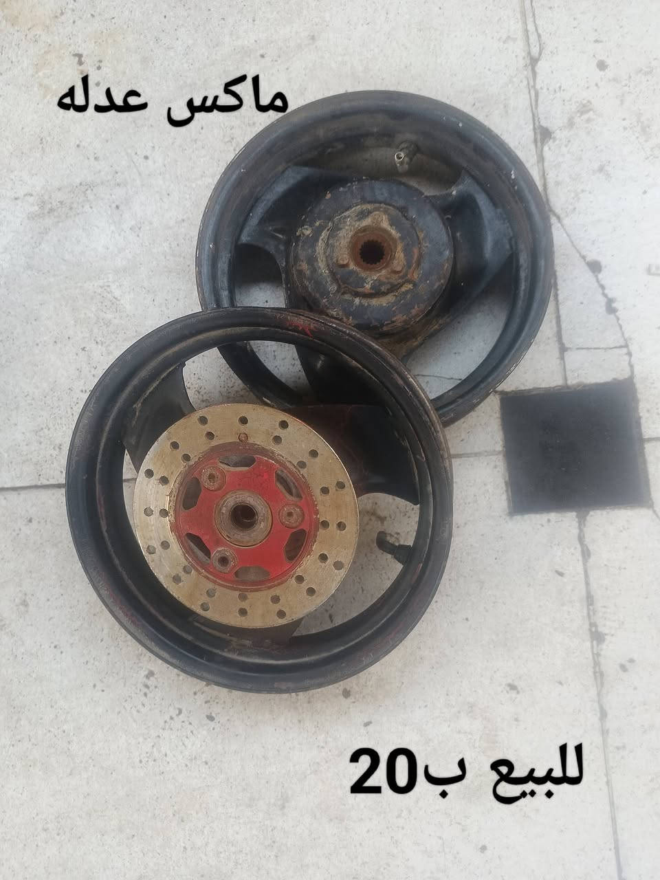 المعقل ***********
