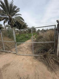 4دونم مزرعة  البيع في بغداد الراشدية تبعد عن شارع عام كيلو سندد 25 (ما...