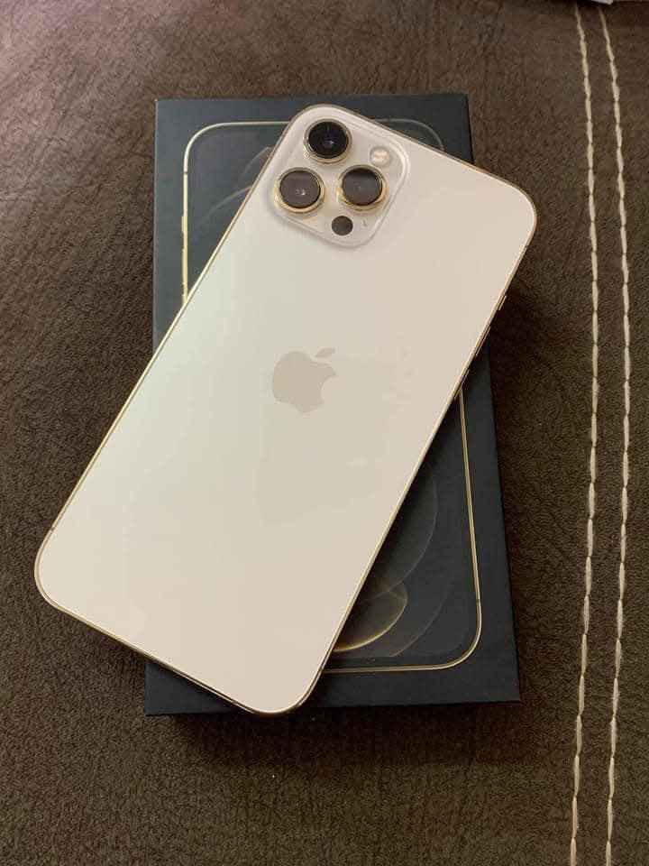 ايفون 12 برو ماكس 
الـجـهـاز نظيف زلغ مابيه  
 انطيك ظمان اسبوع 
ذاكـــــره ؛  128    
نـظـافـــه؛  99
بـطـاريته؛   100
نـمــوذج؛. M
جهاز كل شغال ومابيه اي خلل مكفول عل ظمان بس مبدل شاشه اصليه مال تفصيخ ام 3 خيارات بيه ظمان شهرر ايشي بيه او بل جهاز تاخذه بلاش وتروح وربع ما تدفع وفيس ايدي واكف
السـعر المـطـلوب ؛ 325 الـف قـفـل 
مكانـي بـغـداد مدينه الصدر بغداد, العراق


**إذا كنت صاحب هذا الإعلان وتريد حذفه لأي سبب، رجاءا أرسل رسالة إلى الدعم الفني**