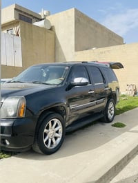 دينالي • ٢٠١٠ • فول اوبشن