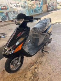 فراشه فحل • نضيفه • سلف