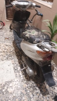 عصفورية • تخبل • ما بيها شي