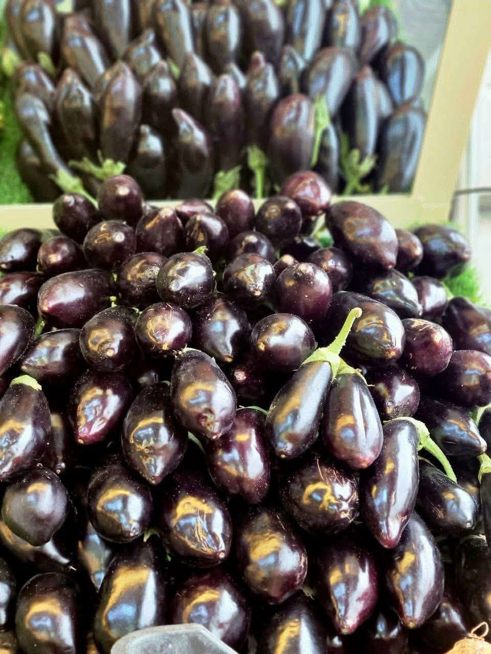 �🍅 أسعار اليوم 🍅🌿

🍅 الطماطة: 500 دينار للكيلو
🧅 البصل +الأسود + 🥒 الخيار + 🥔 البطاطا: 3 كيلو بـ 2000 دينار فقط

📍 العنوان: حي الأسرى – شارع مدرسة النهرين – قرب أسواق بيت ميره.
🚚 يوجد توصيل: ***********

🌹 أهلاً وسهلاً بزبائننا الكرام، رزقنا الله وإياكم من واسع فضله.
