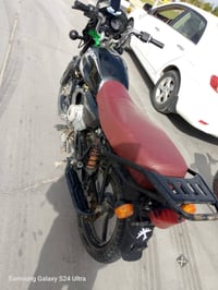 بوكسر • ٢١ • اوراق اصولي