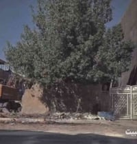 من رخصه الادمن (دار للبيع شارع فلسطين قريب ع مصرف الرافدين مساحه 225 )...