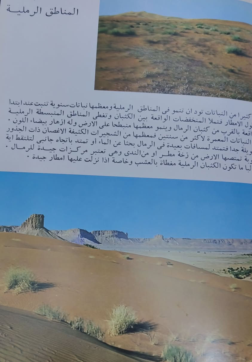 الازهار البرية للمنطقة الوسطى في المملكة العربية السعودية 
تأليف وتصوير بيتى أ ليبيكومب فينسيت 
طبع ميلانو إيطاليا عام ١٩٧٧
قطع اطلسي ١١٦ صفحة 
السعر ٢٥ آلاف


**إذا كنت صاحب هذا الإعلان وتريد حذفه لأي سبب، رجاءا أرسل رسالة إلى الدعم الفني**