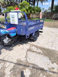 ستوته • مديل 15 • اوراق اصولي