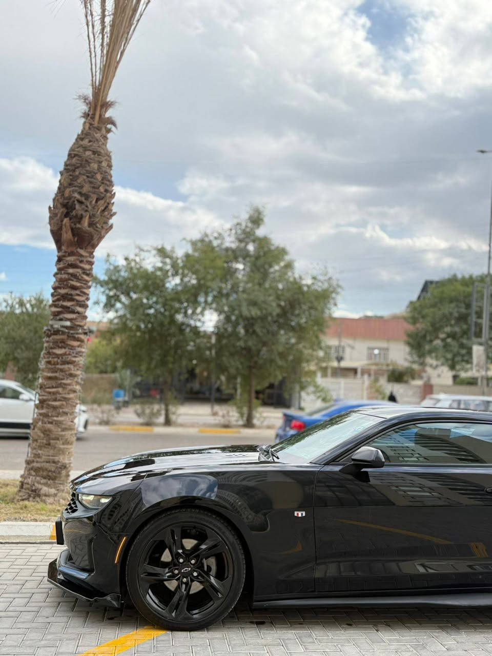 للبيع كمارو سته سلندر 
Camaro 2023 v6  3.6 
 
شاشة 
بريك بصمة 
كشنات كهربائي 
كاميرا 

كلين تايتل بيها فعصه بلجاملغ الخلفي ومصبوغه

صور الحادث مرفقه

سعر 197  بيها مجال بسيط 

مكان السياره بغداد حي الاطباء بلجهاد قرب خدمي شارع المطار للتواصل 
***********
