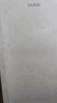 سلام عليكم 
مجمده عاموديه نوع بيكوشرط تجميد فول بيها اربع درجات اريدها  ب 100الف 
نهايتها ب 70الف  الشراي يتصل ***********
