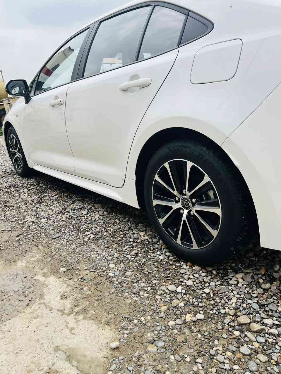 سلام عليكم كورلا هايبرد 2025 شكل الامريكي ماشيه 16 بيهه بس هاي الطخه شويه ماسويتها موضوحه بلصورة باقي السيارة كفاله ع وضع الشركه سيارة حره بسمي السعر 152 وبيهه مجال مكان السيارة بغداد الكرخ 
***********

