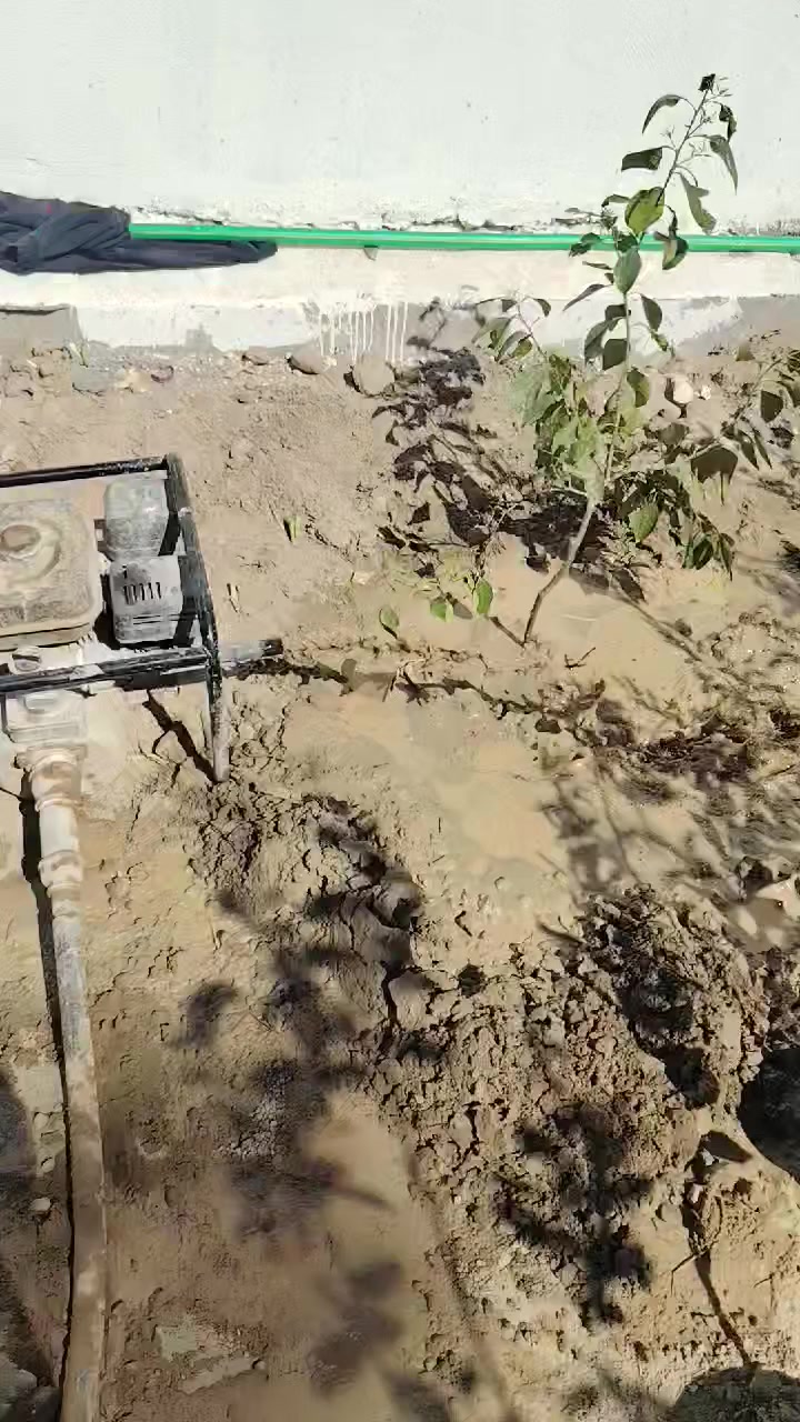 سلام عليكم شباب مستعدون حفر الابار يدويه أو سياره أو ثقب شارع او توشيل أو تنشيف أو تنضيف أو ***********او***********
