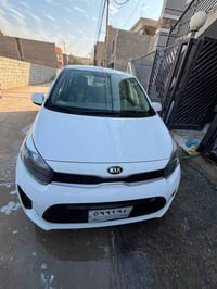 بيكانتو خليجي • ٢٠١٩ • رقم اربيل