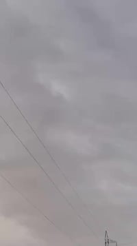 مكفولة • ٢٠١٤ • السماوه