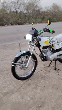 تايجر • ٢٠٢٤ • الحمزه الغربي