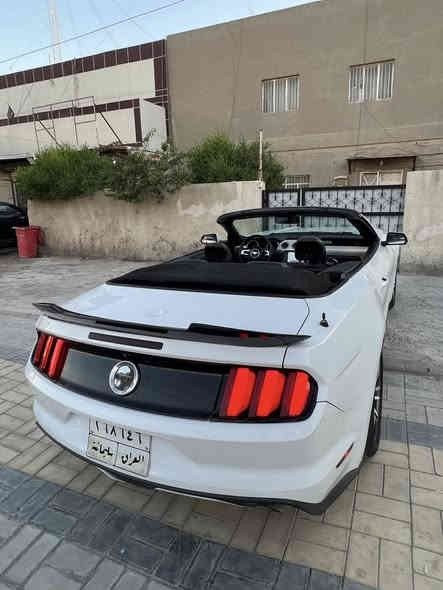 سلام عليكم موستنك أيكو بوست 2017 فول بريميم محرك كير وضع شركه ممفتوح ماشيه 57 حادثه جاملغ وبنيد صور ماعندي 
بيه صبغ وبيه مقدمه الشواصي  سنويه صاقطه صار سنه تريد تحويل او وكاله سعر 110 وبيه مجال مكاني بغداد الاسكان للتواصل واتساب ***********
