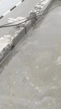 *********** عمي هاذ شقلنه شقلنه صب ول سعر مناسب ولي يريد ينتصل عله هاذ رقم
