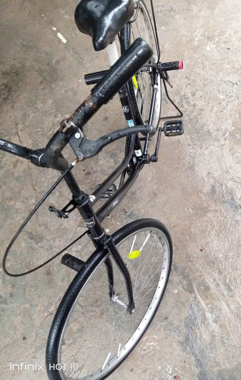 السلام عليكم بايسكل للبيع او مراوس بدراجه بيجي بايسكل نظيف ما عايزه شي موديل 18 مكان ناصريه الاسكان سعر 110 وبي مجال شراي يجي خاص


**إذا كنت صاحب هذا الإعلان وتريد حذفه لأي سبب، رجاءا أرسل رسالة إلى الدعم الفني**