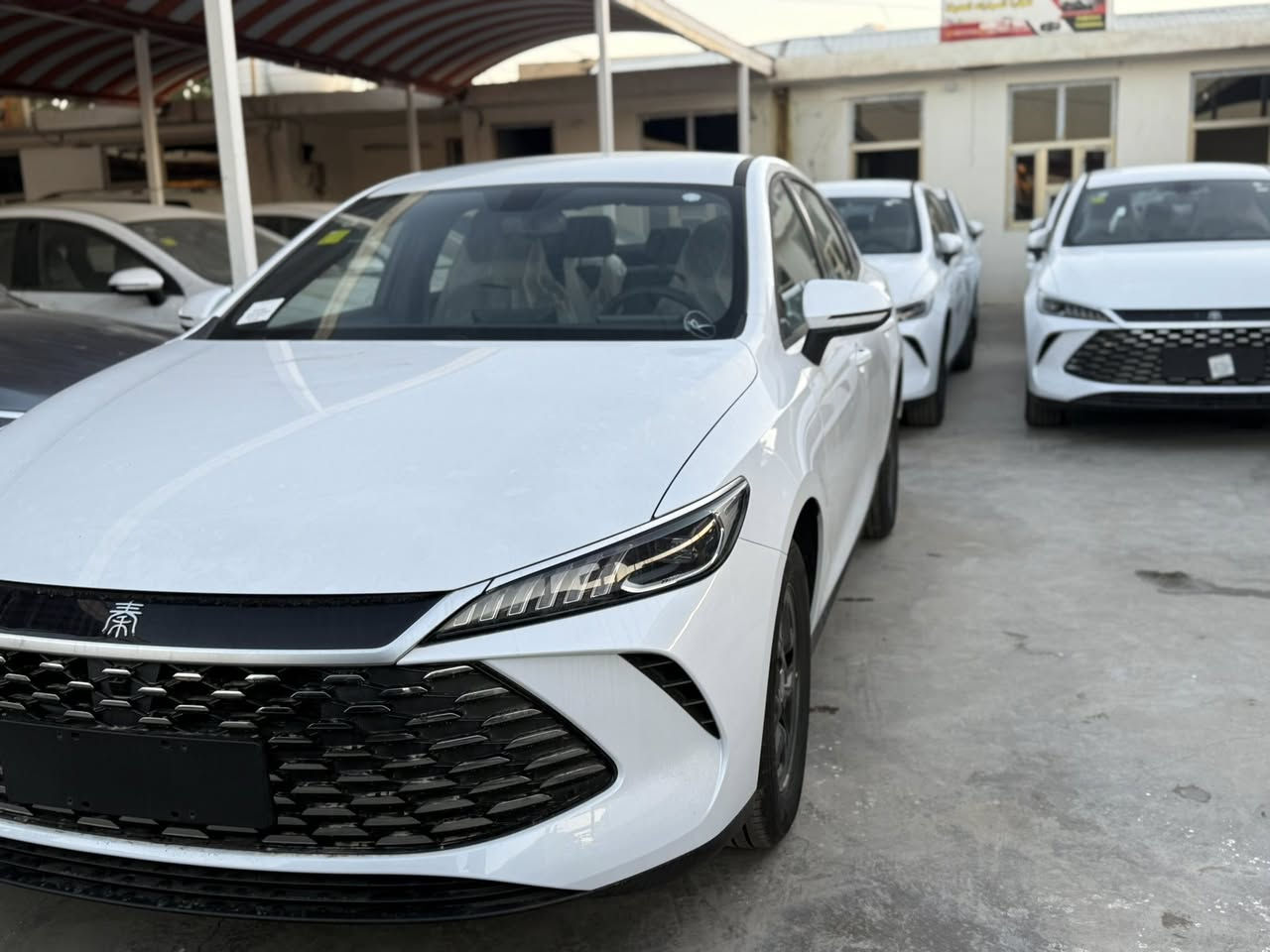 توفر بي واي دي كن بلص موديل 2025 

اليكم المواصفات: 

انتبه السياره : هايبرد & بانزين & كهرباء يعني التفويله الوحده بانزين نمشيك 2100 كيلو
سعه التانكي 65 لتر
موديل 2025
حساسات
حجم المحرك 1.5
شاشه اصليه
كامره خلفيه
هند بريك كهرباء
دشبول شاشه ديجيتال
اوتو هولد
مفتاح التشغيل بصمه
تشغيل عن بعد تحكمات مقود
اوامر صوتيه
منفذ طاقه
منافذ شحن
جلد حياكه
دخول ذكي
3 وضعيات قيادة
اشاير بالمري
نتسع المقصورة ل 5 ركاب
المقاعد جلد رياضي
اريل نفكيتر
اناره داخليه LED
لد امامي LED
قطعتين تبريد
مثبت سرعة
حجم الاطار 16
مانع تزحلق
شاحنه خلفية
كير كرستال 
البطارية ليثيوم الاقوى والاطول عمرا في عالم الهايبرد
بصمه مع كارت 

للاستفسار : ***********
السعر : 18.600.000 دينار عراقي فقط صافي
